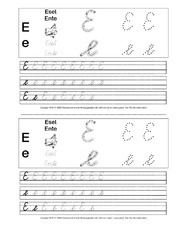 SAS-Übungen-E.pdf